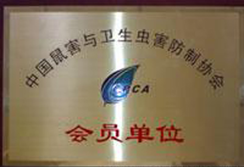 й溦Э