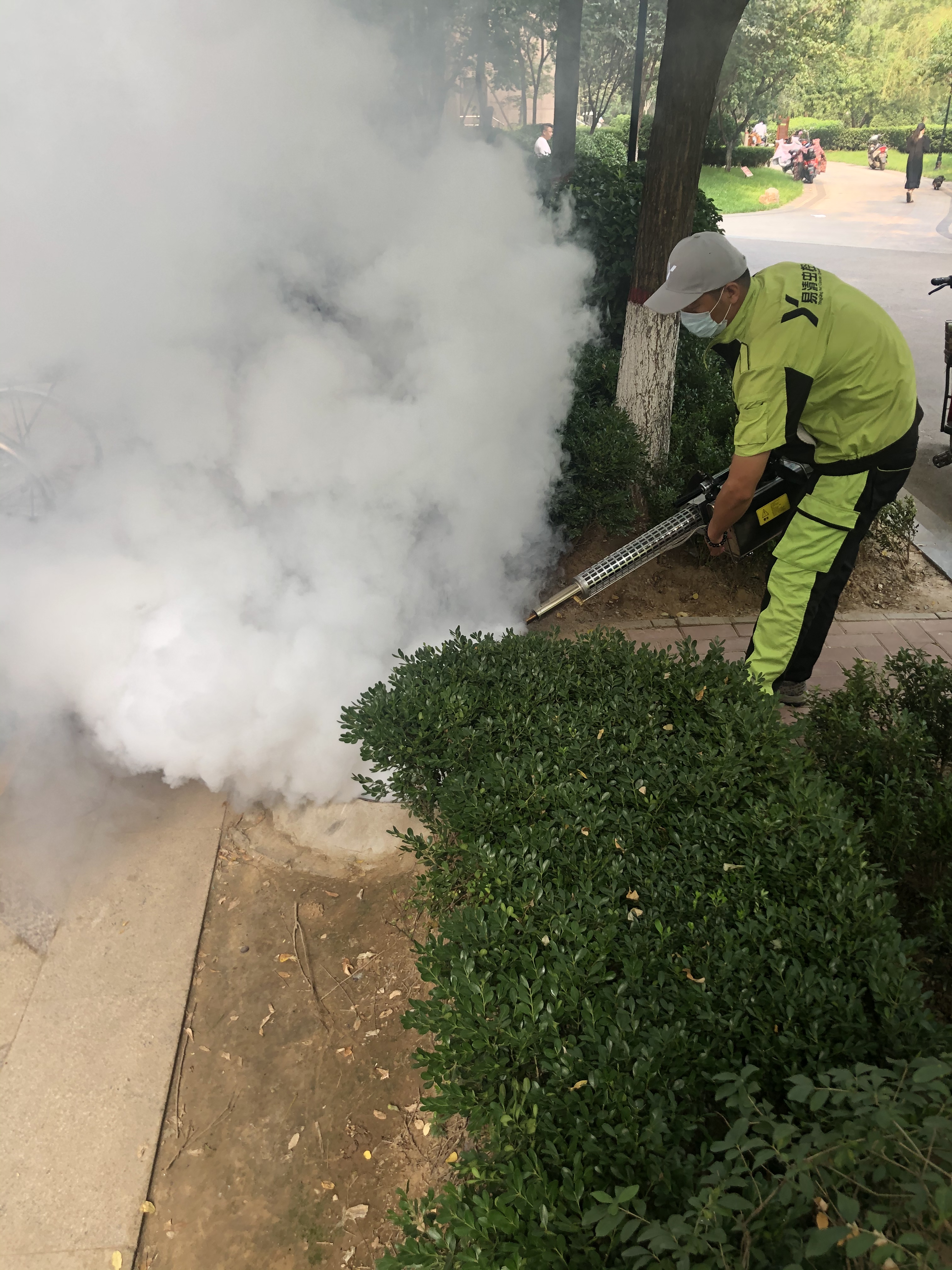 石家庄灭鼠公司哪家好