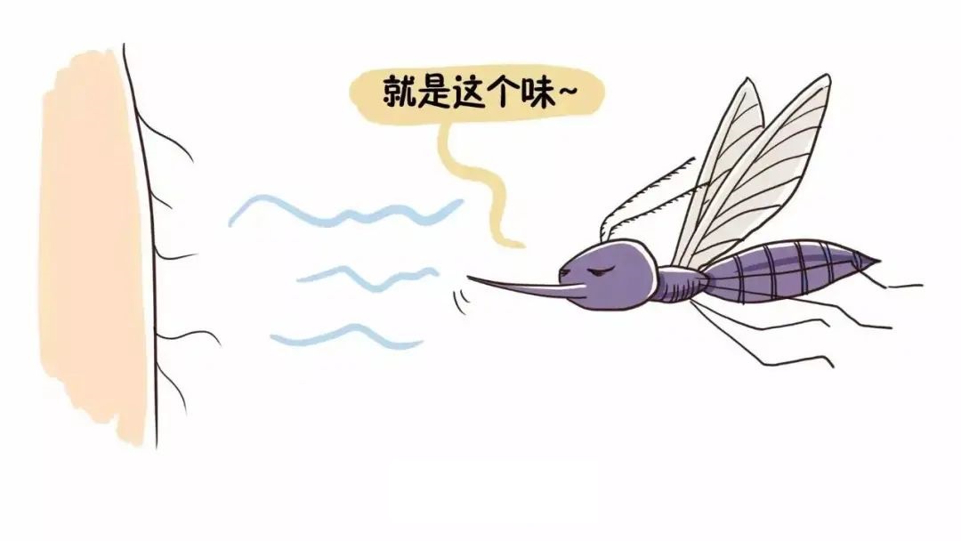 石家庄杀虫公司